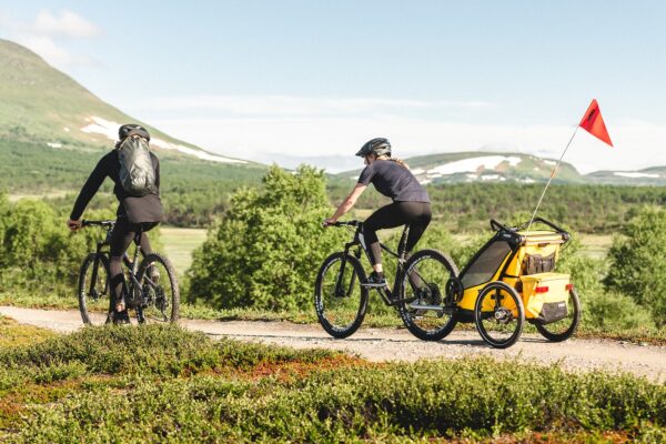 Thule Chariot Sport Double jalgrattakäru, Spectra Yellow — изображение 6