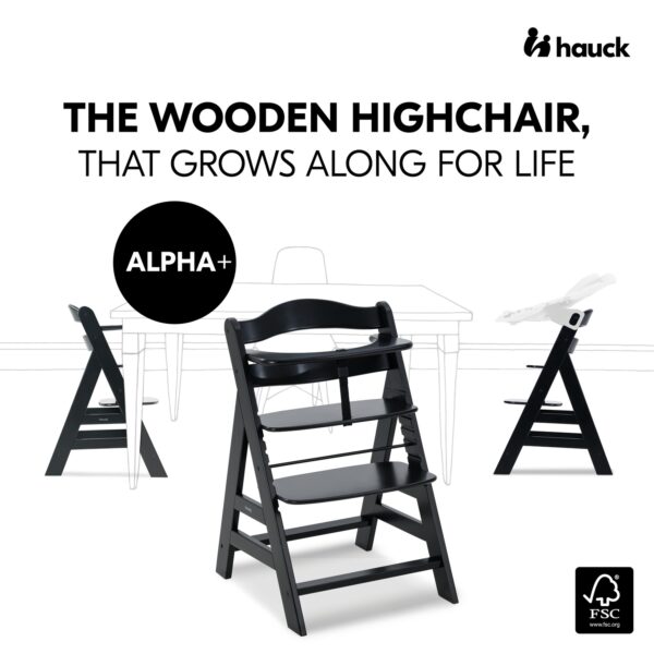 Hauck Alpha+ puidust söögitool, Black — изображение 10