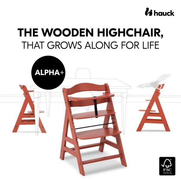 Hauck Alpha+ puidust söögitool, Cork — изображение 10