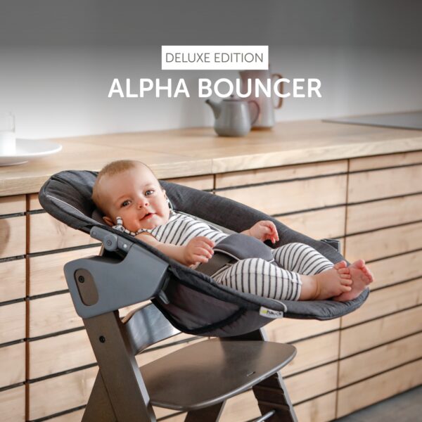 Hauck Alpha+ lamamistool Bouncer Deluxe 2in1, Melange Grey — изображение 6